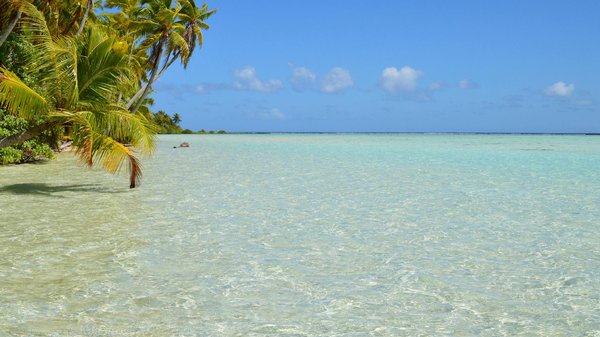 Premier UK Campsites Ideal for Memorable Large Group Adventures