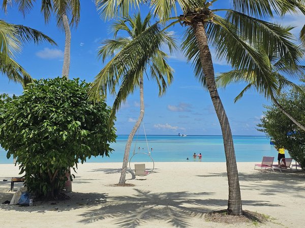 Discover the Best Dog-Friendly Campsites in the UK's Stunning National Parks