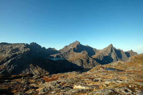 Discover Your Perfect Norfolk Broads Retreat: Birdwatching Adventures Included!