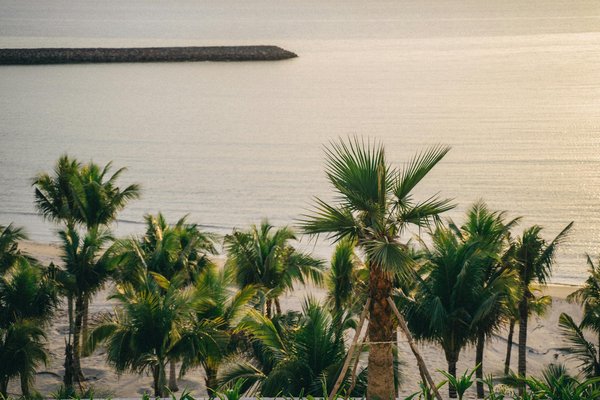 Essential Edinburgh Holiday Rental Amenities to Enhance Your Fringe Festival Experience