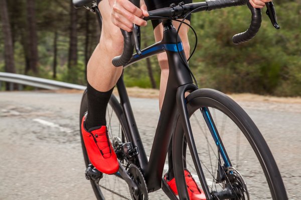 Experience unique bike tours across france's scenic landscapes